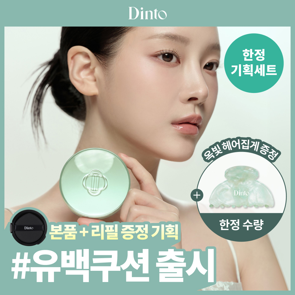 딘토 딘토 블러피니쉬 쿠션 6종