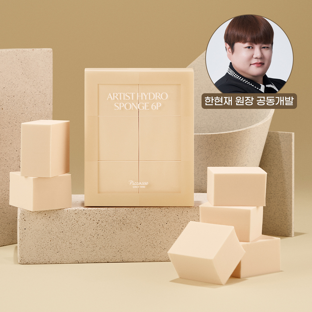 피카소 피카소 아티스트 하이드로 스펀지 6p